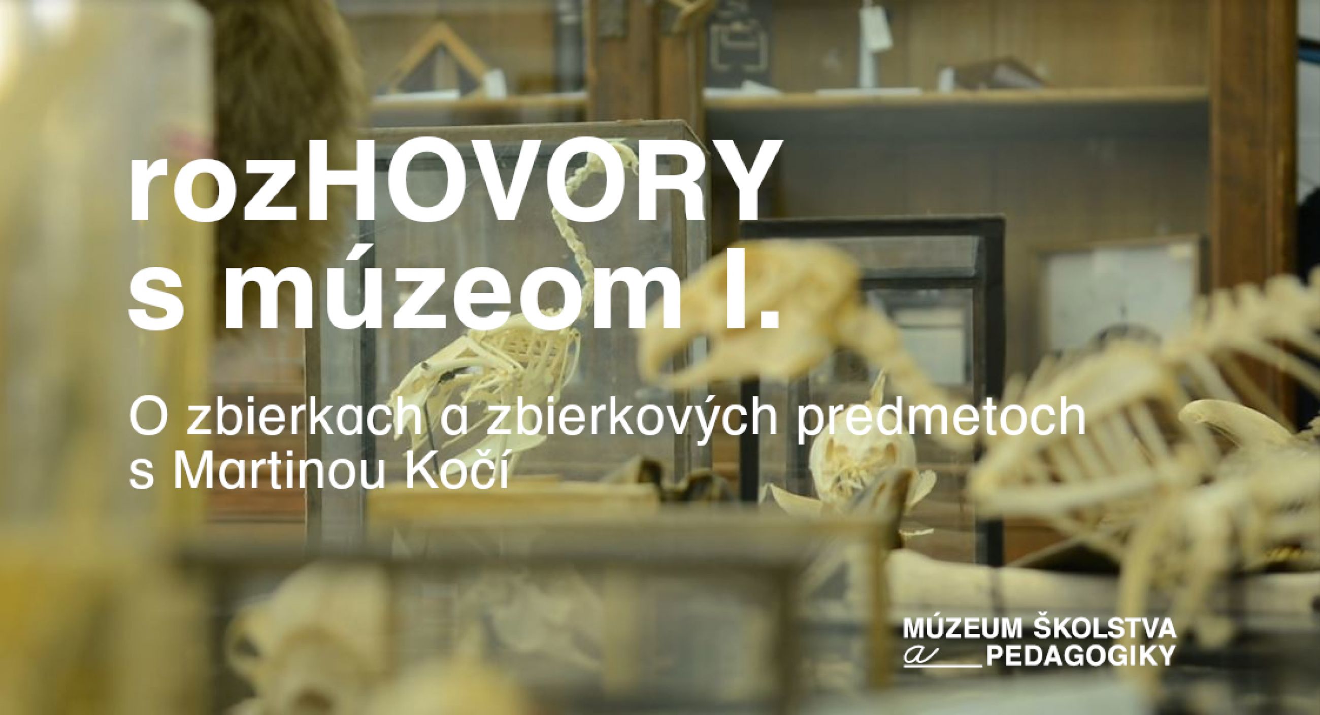 rozHOVORY S MÚZEOM I.