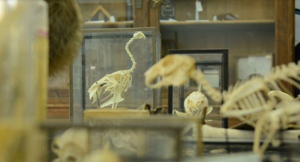 rozHOVORY s múzeom I.